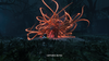 creature from returnal with glowing orange tentacles. 